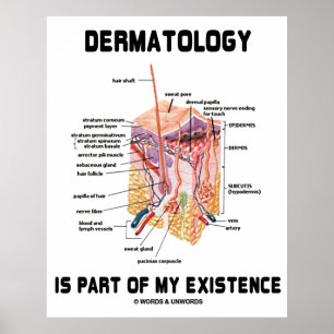 Dermatologie maakt deel uit van mijn bestaan (anat poster