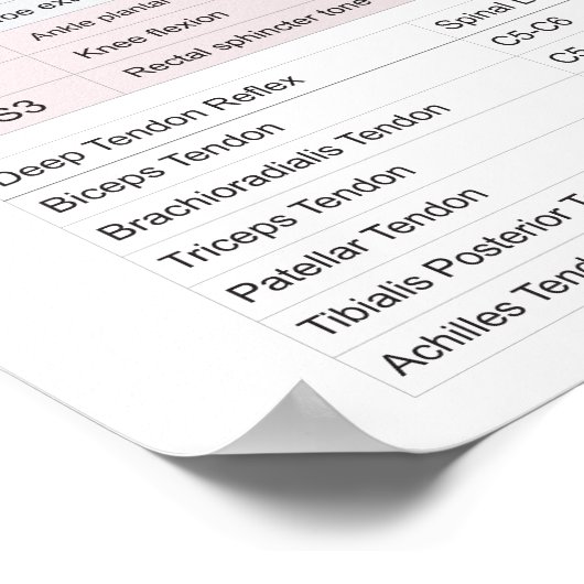Dermatomen, myotomen en DTR-Poster Poster (Hoek)