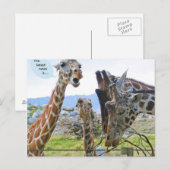 Dernières nouvelles : Carte postale (Devant / Derrière)