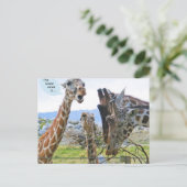 Dernières nouvelles : Carte postale (Debout devant)