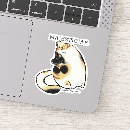 Derp katten Calico kat Sticker (Detail)