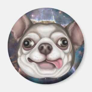 Derpy Chihuahua Magneet
