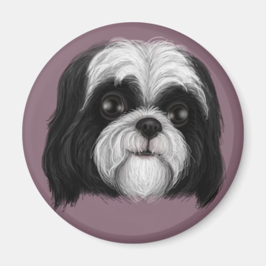 Derpy Shih Tzu Magneet (Voorkant)