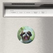 Derpy Shih Tzu Magnet (In Situ (Lave-vaisselle))