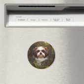 Derpy Shih Tzu Magnet (In Situ (Lave-vaisselle))