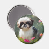 Derpy Shih Tzu Magnet (Recto/Verso)