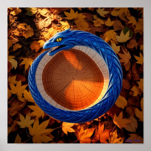 Dertien symbolen: de Ouroboros Poster Print (Voorkant)