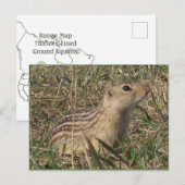 Dertien uitgelijnde vierkant briefkaart (Voorkant / Achterkant)