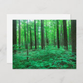 "Des arbres !" Carte de note (Devant / Derrière)