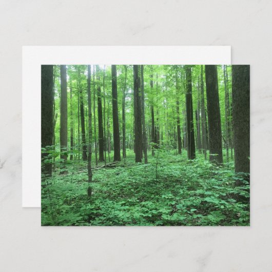 "Des arbres !" Carte de note (Devant / Derrière)