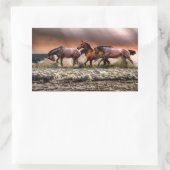 Des autocollants pour chevaux (Sac)