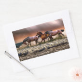 Des autocollants pour chevaux (Enveloppe)