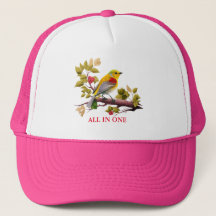 Des Casquettes incroyablement beaux pour chaque oc