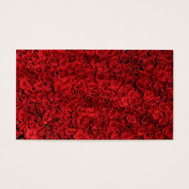Des centaines de belles roses rouges (Devant)
