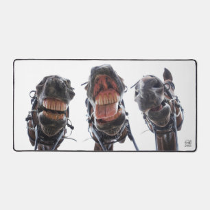 Des chevaux dans la bouche. Trois chevaux sourient