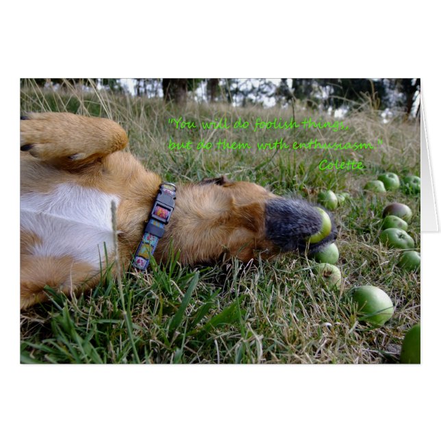 Des choses stupides (Devant Horizontal)