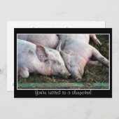 Des cochons qui dorment, une invitation à dormir (Devant / Derrière)