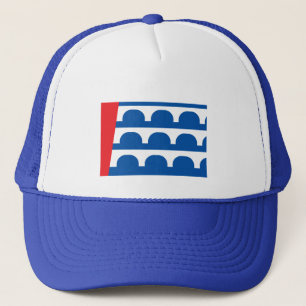 Des Moines city vlag Trucker Pet