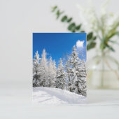 Des neiges sous une carte postale bleu clair (Debout devant)