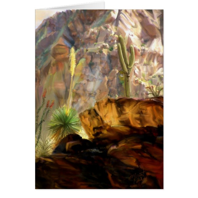 Des ombres de canyons (Devant)