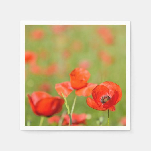 Des pavots dans des serviettes en papier de pavot (Devant)