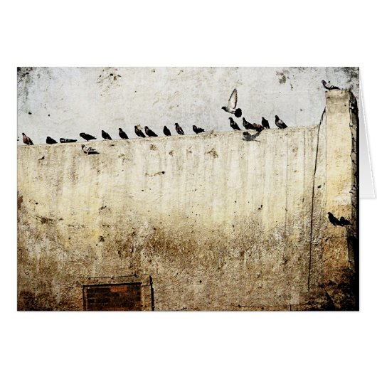 Des pigeons sur le toit (Devant horizontal)