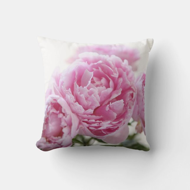 des pignons roses lancent un oreiller (Recto)