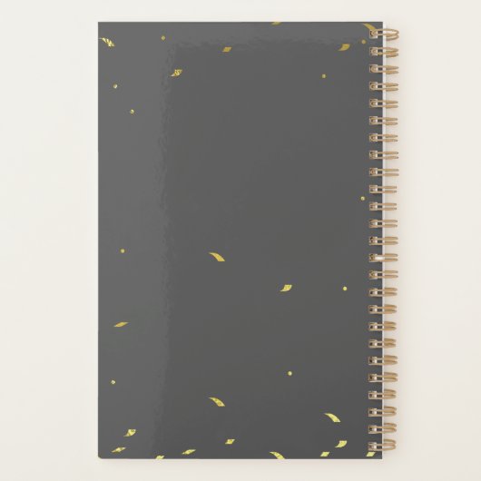 Des plans dorés à temps doré. (Dos)