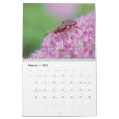 Des puants ! Calendrier des abeilles et des guêpes (Feb 2026)