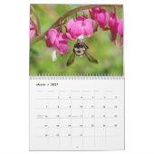 Des puants ! Calendrier des abeilles et des guêpes (Mar 2027)