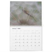 Des puants ! Calendrier des abeilles et des guêpes (Jan 2027)