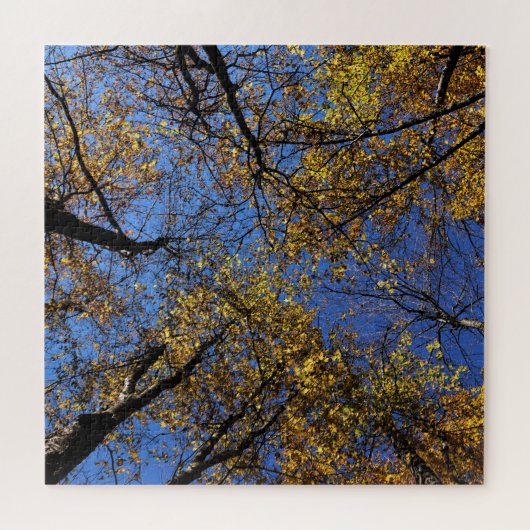 Des Puzzles De Nature Extrêmement Difficiles Pour  (Horizontal)