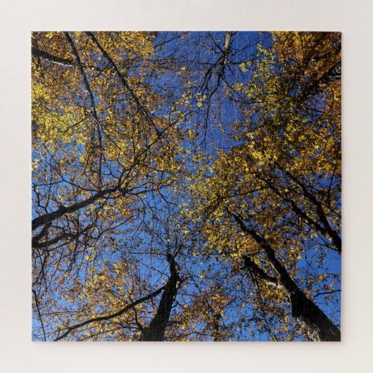 Des Puzzles De Nature Extrêmement Difficiles Pour  (Vertical)