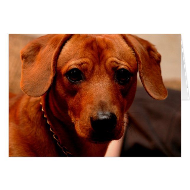 désamorcer (Devant horizontal)