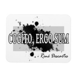 Descartes Magneet