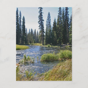 Deschutes in het Little Lava Lake, Oregon Briefkaart