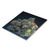 Descloizite op calciet tegeltje (Zijkant)