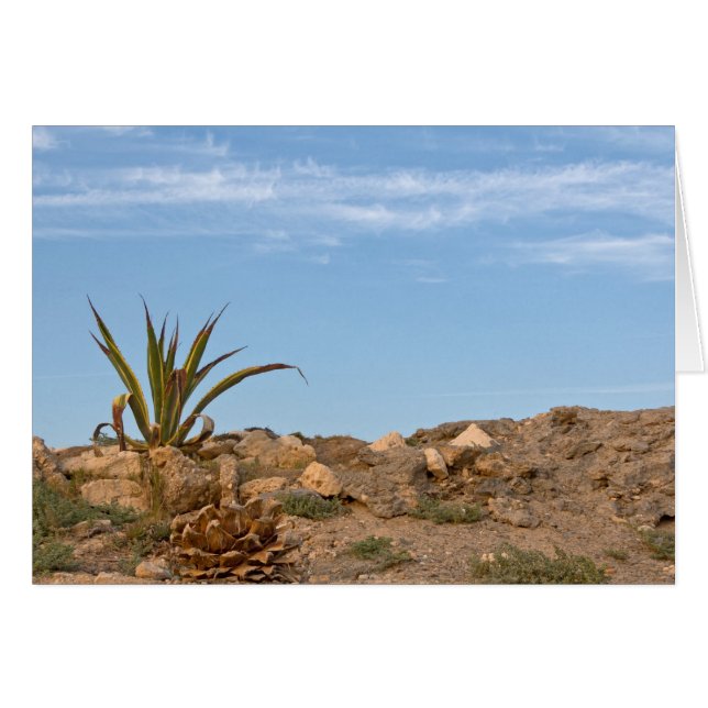 désert (Devant horizontal)