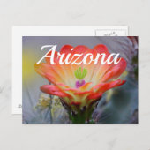 Désert à Bloom, Arizona Carte postale (Devant / Derrière)