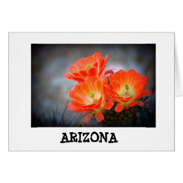 Desert ablaze Arizona