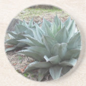 Desert Agave Planten Zandsteen Onderzetter (Voorkant)