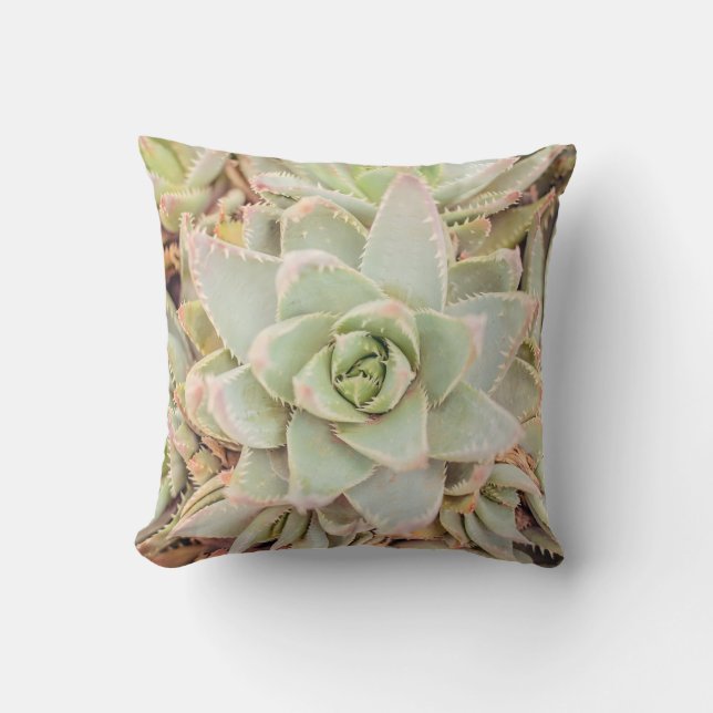 Desert Aloe Sierkussen (Voorkant)