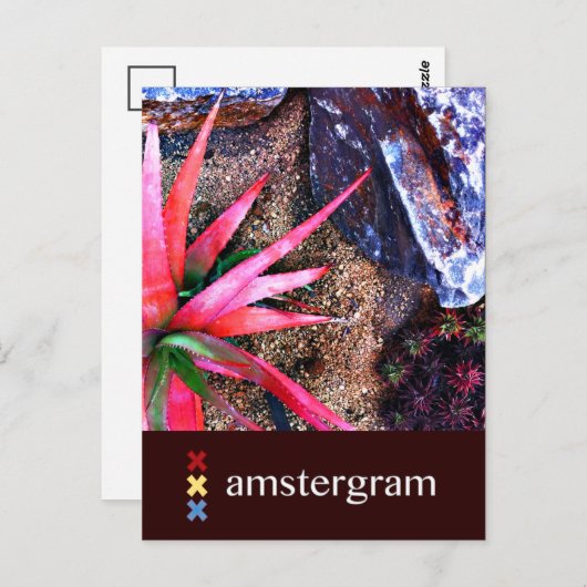 Desert Amsterdam Briefkaart (Voorkant / Achterkant)