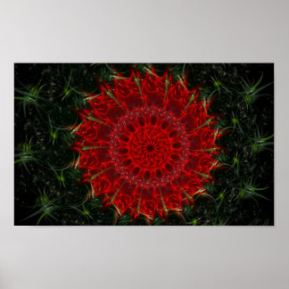 Desert Bloom Poster