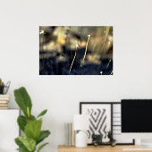 Desert Bloom Poster (Thuiskantoor)