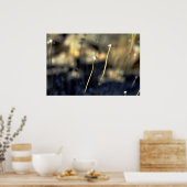 Desert Bloom Poster (Keuken)