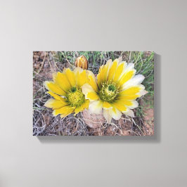 Desert Blooms Canvas Afdruk
