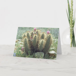 Desert Blooms Wenskaarten of notagekaarten Kaart