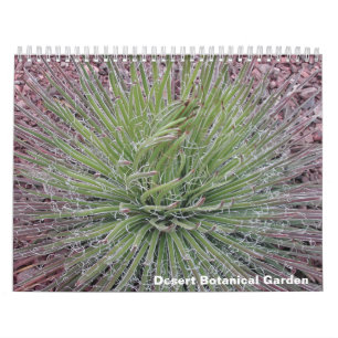 Desert Botanische Tuin Kalender