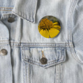 Desert Brittlebrush Ronde Button (In situ)